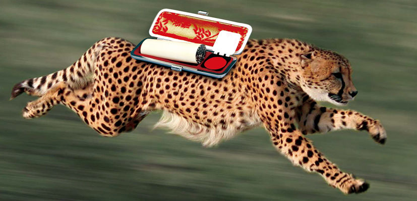 即日お渡し可能